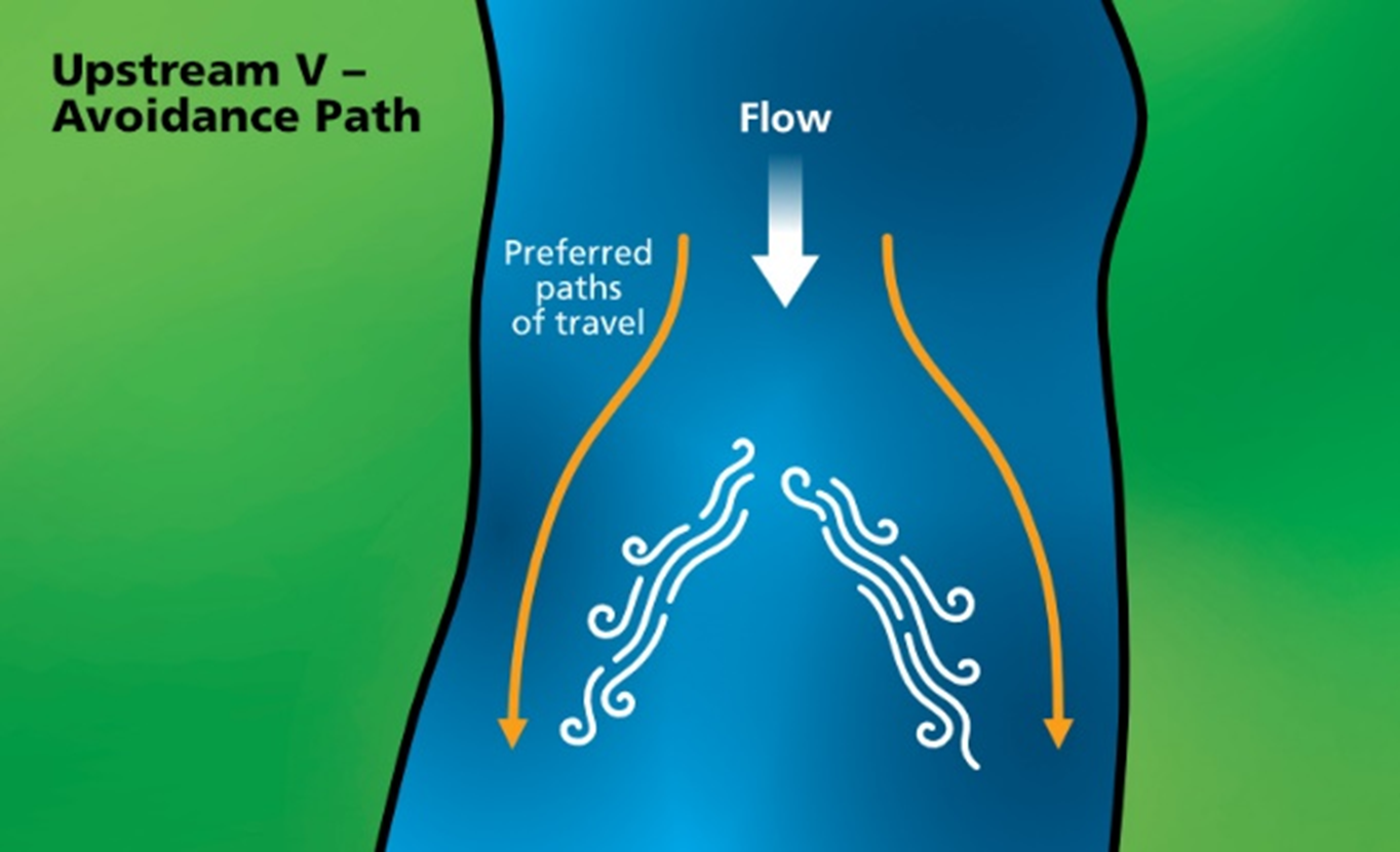 Preferred Paths of Travel – Upstream V image