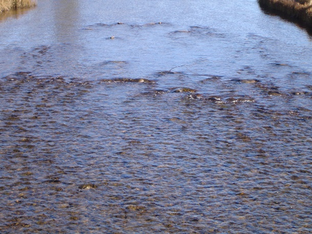 Rocky shallows-ripples image