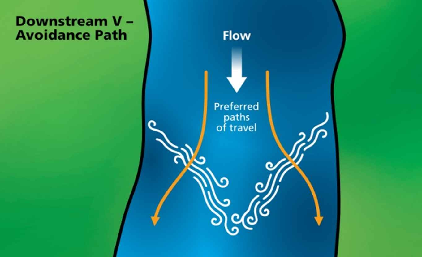 Preferred Paths of Travel – Downstream V image