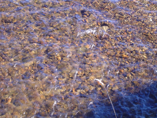 Rocky shallows-rocky bottom image