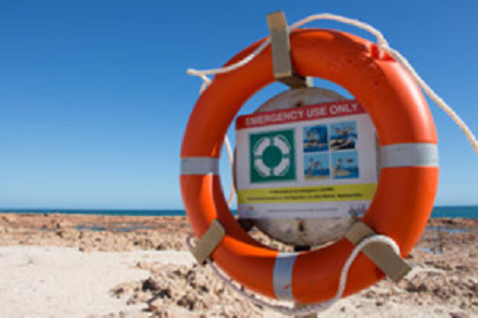 Life Buoy-Throw Ring image