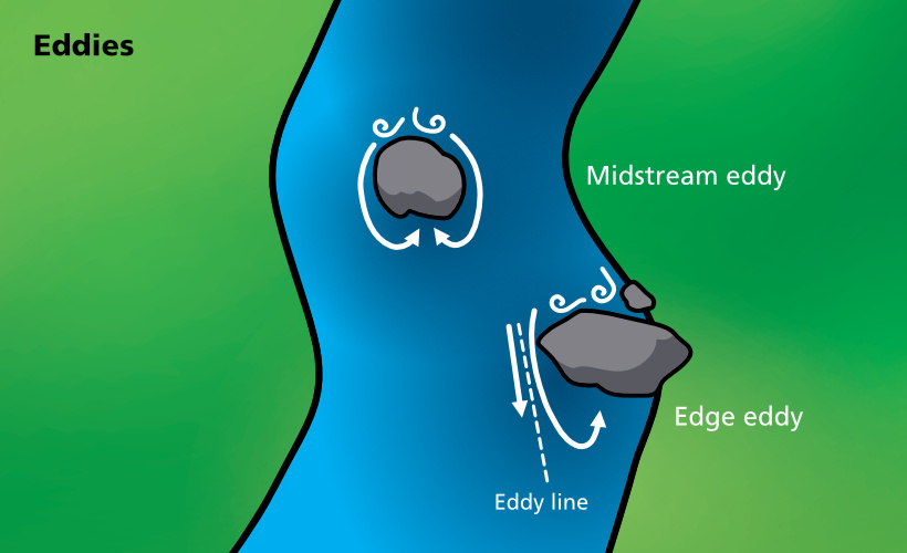 Midstream and edge eddies image