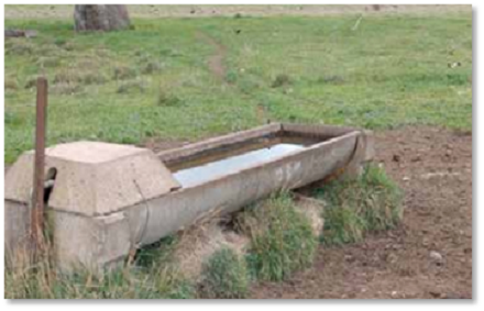 Water trough image