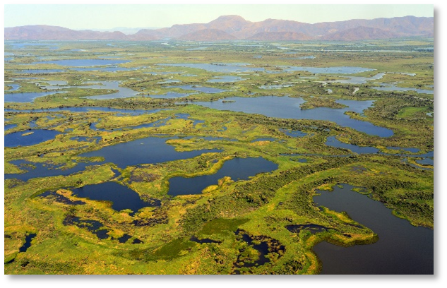 Wetland image